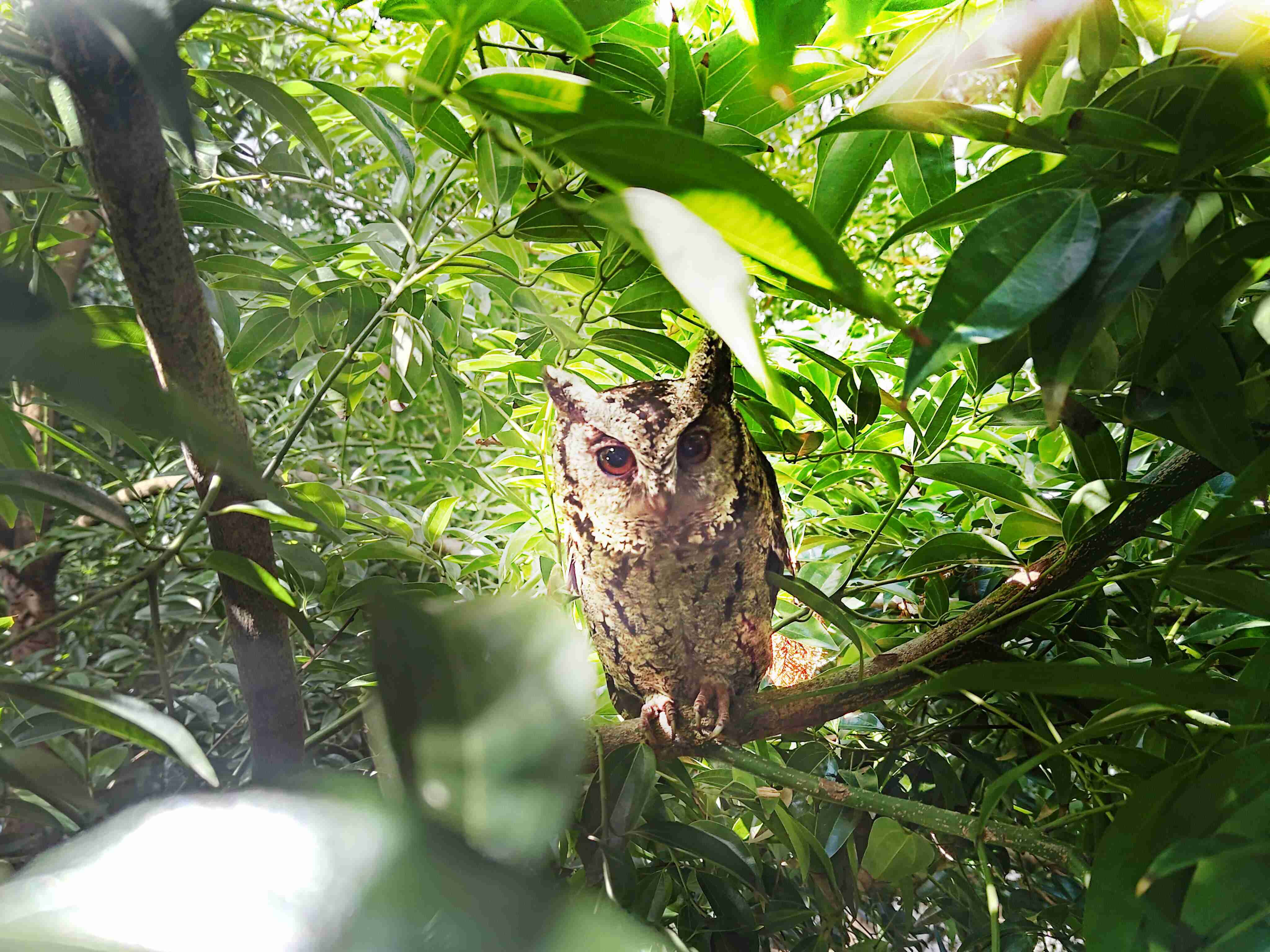 尊时凯龙致力提倡净零绿生活，，，，16年以来在全球各厂区植树逾百万棵，，造就各厂区树木蔚然成林，，，，犹如森林工厂，，，成为许多生物的栖息地